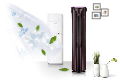 居家必備，三分鐘教您甲醛治理六大招！