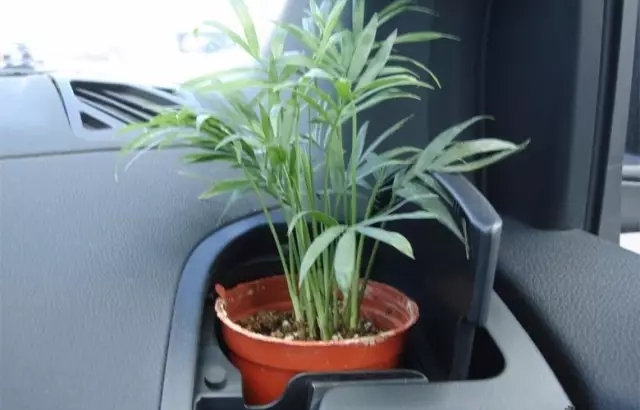 新車除醛，車內(nèi)除甲醛什么辦法***？