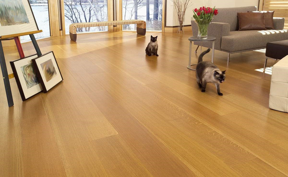 無法拆開、無法通風(fēng)！地板甲醛超標怎么辦