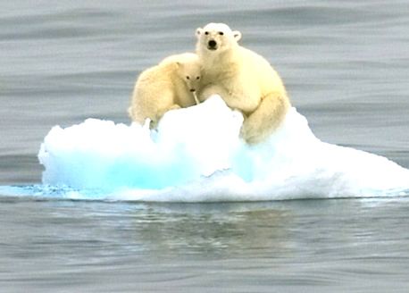 溫室效應(yīng)產(chǎn)生的主要原因是什么？我們又該如何解決