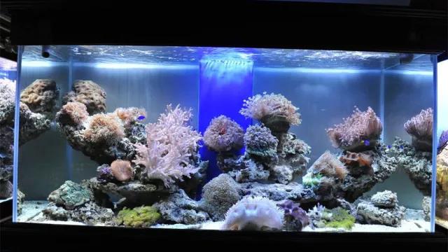 家中旺位和衰位在哪里？三分鐘學(xué)習(xí)室內(nèi)風(fēng)水學(xué)