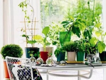 裝修6個(gè)月后的甲醛污染最嚴(yán)重，聞不到不代表沒(méi)污染