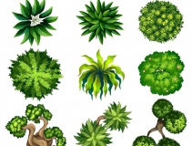 可以凈化室內(nèi)空氣的植物，這二十種您需要好好了解一下！