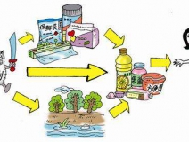 食品中有塑化劑嗎？這些食品中含有大量塑化劑，食用時(shí)一定要注意！
