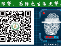 萬萬沒想到！床品上也會有甲醛污染