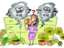 活性炭進(jìn)行甲醛治理真的有用嗎？