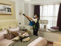 除甲醛公司哪家好，創(chuàng)綠家更專業(yè)