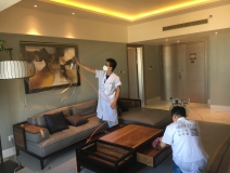 為什么那么多朋友做除甲醛加盟會失?。?></div>
                                <div   id=