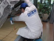 有哪些高效的除甲醛方法？