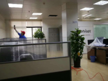 除甲醛公司選擇的要求有哪些？