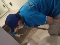 地毯也會(huì)引起甲醛超標(biāo)嗎？