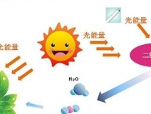 無光觸媒和光觸媒有什么區(qū)別？