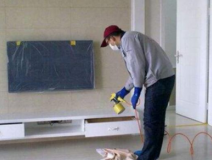 裝修后除甲醛的方法有哪些呢？