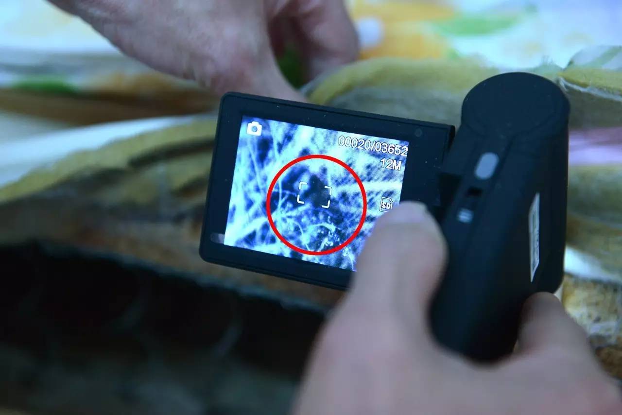 南京美女睡了10年的床墊，掀開后把全家人都嚇傻了……