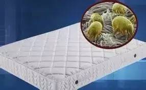 南京美女睡了10年的床墊，掀開后把全家人都嚇傻了……