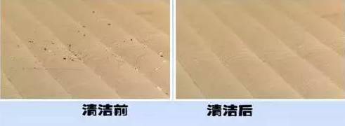 南京美女睡了10年的床墊，掀開后把全家人都嚇傻了……